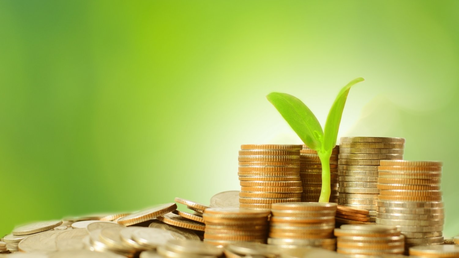 珠海技师学院两专业入选！广东首批开展学制技师试点院校及专业公示